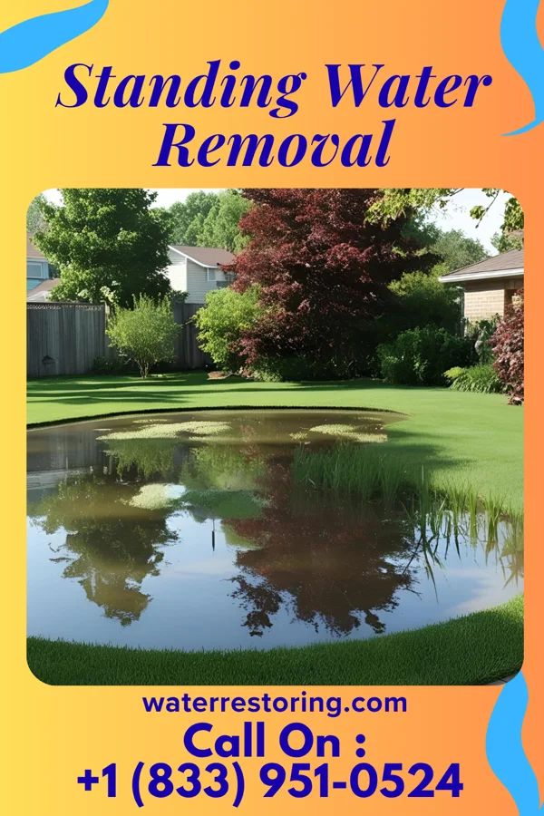 Standing Water Removal in Unity, WI